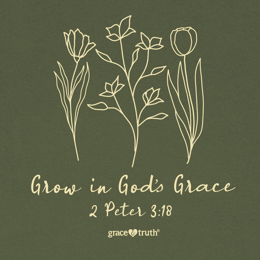 grace & truth Womens T-Shirt Grow In Grace grace & truth® apparel T-shirt Women's